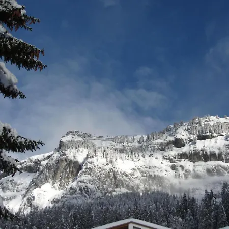 Appartement Girun Eder By Interhome Flims