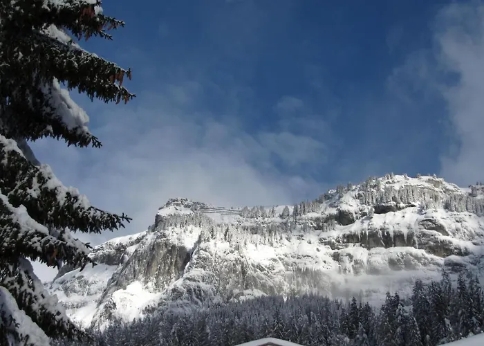 Appartement Girun Eder By Interhome Flims